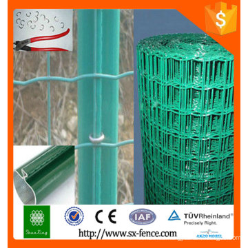 PVC Color Verde RAL6005 Valla de euro cerca de malla de alambre de Holanda